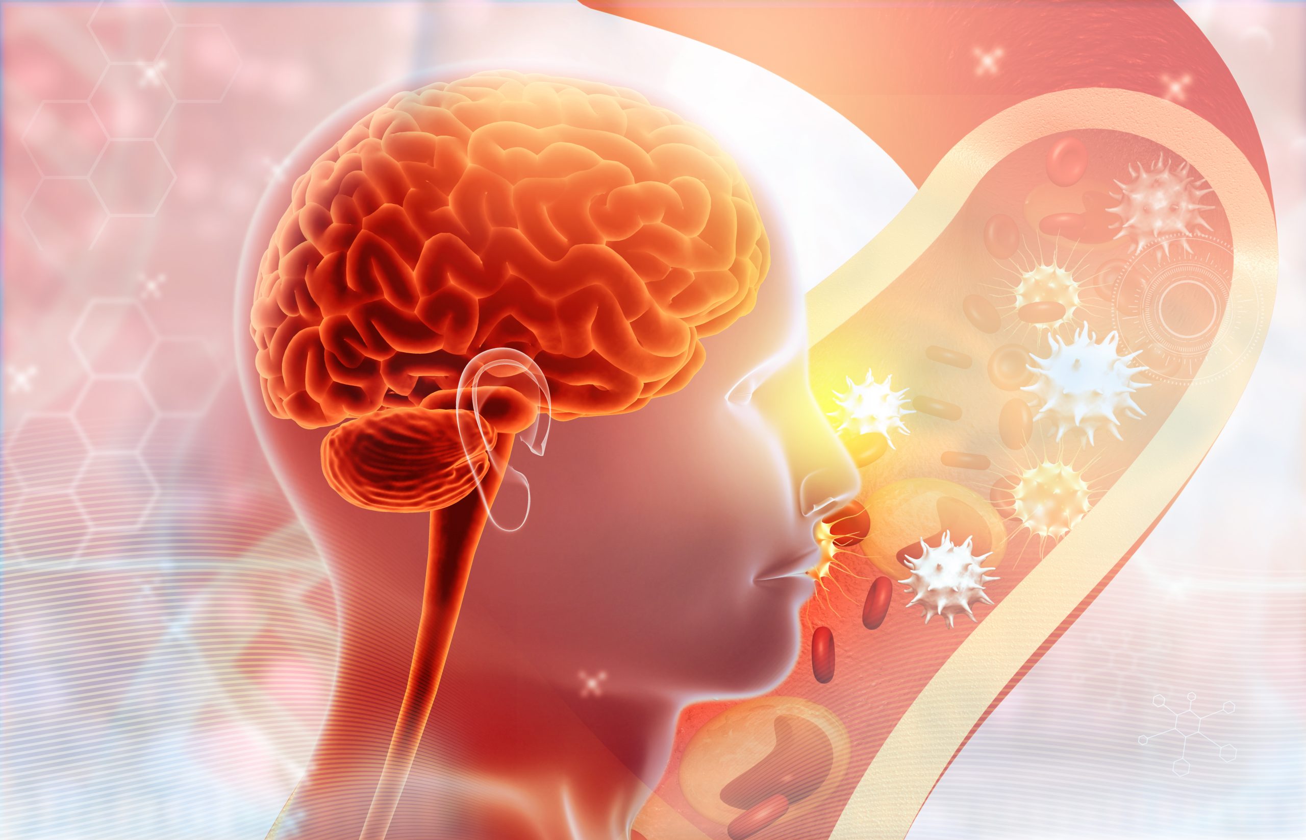 Human brain anatomy on virus bacteria background